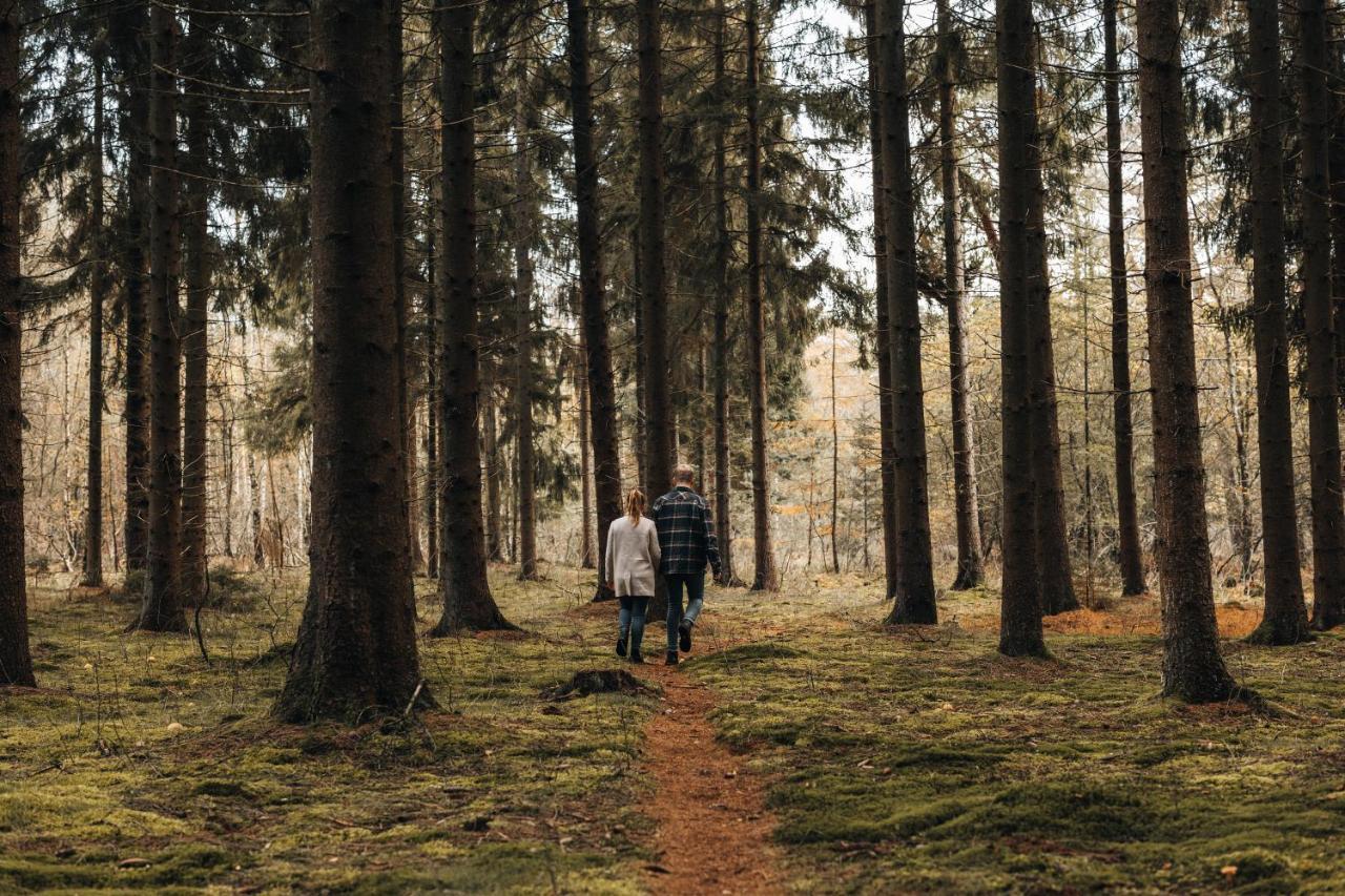 4P Chalet Tolve Met 4 Fietsen Vlakbij Natuurgebieden Drents Friese Wold, Fochteloerveen En Gevangenisdorp Veenhuizen Oosterwolde  Luaran gambar