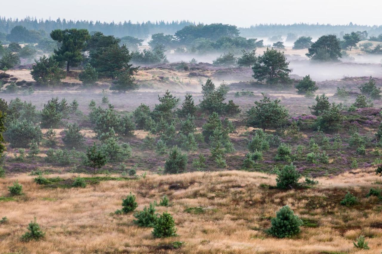 4P Chalet Tolve Met 4 Fietsen Vlakbij Natuurgebieden Drents Friese Wold, Fochteloerveen En Gevangenisdorp Veenhuizen Oosterwolde  Luaran gambar